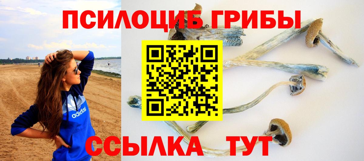 Псилоцибиновые грибы Cubensis  Вход с VPN  Тольятти 